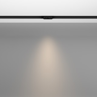 Трековый светильник Technical TR100-2-2W4K-S-B-foto4