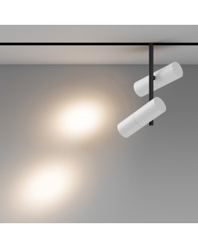 Трековый светильник Technical TR005-2-2X12W3K-BW-foto4