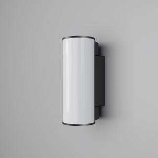 Настенный светильник (бра) Outdoor O434WL-L12GF3K-foto3