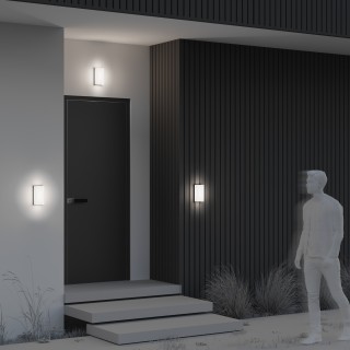 Настенный светильник (бра) Outdoor O454WL-L10GF3K-foto2