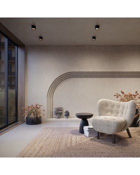 Потолочный светильник Technical C009CW-L12B4K-foto6