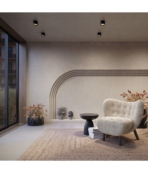 Потолочный светильник Technical C009CW-L12B4K-foto6