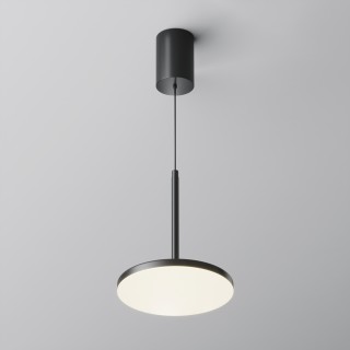 Подвесной светильник Technical P076PL-L12W4K-B-foto3