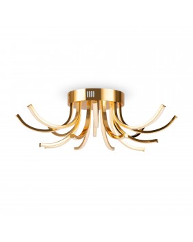 Потолочный светильник Freya FR6046CL-L50G-foto2