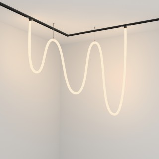 Трековый подвесной светильник Technical TR101-2-100W3K-B-foto5