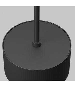 Подвесной светильник Technical P102PL-12W3K-B-foto6