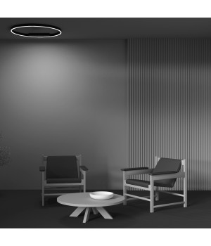 Потолочный светильник Maytoni MOD058CL-L50BK-foto5