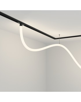 Трековый подвесной светильник Technical TR101-2-50W4K-B-foto2