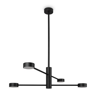 Потолочный светильник Freya FR5363CL-04B-foto10