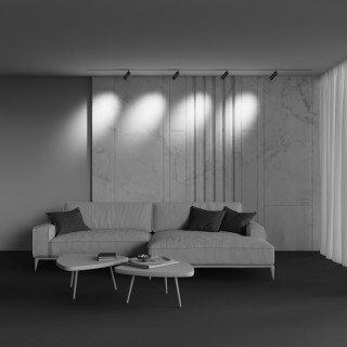 Трековый светильник Technical TR211-1-12W3K-Z-B-foto6