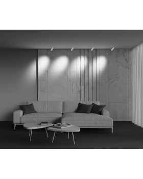 Трековый светильник Technical TR212-1-12WTW-DD-Z-W-foto9