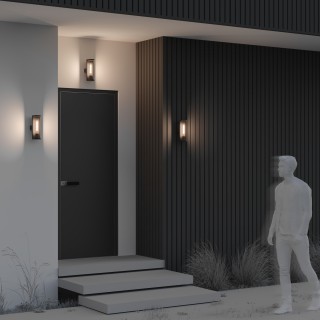 Настенный светильник (бра) Outdoor O451WL-01GF-foto2