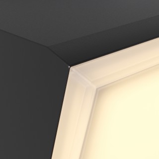 Настенный светильник (бра) Outdoor O436WL-L10GF3K1-foto2