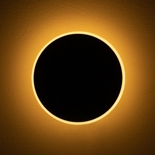 Настенный светильник (бра) Freya FR6002WL-L13B-foto5