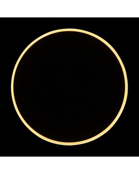 Настенный светильник (бра) Freya FR6002WL-L13B-foto3