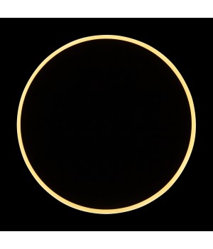 Настенный светильник (бра) Freya FR6002WL-L13B-foto3