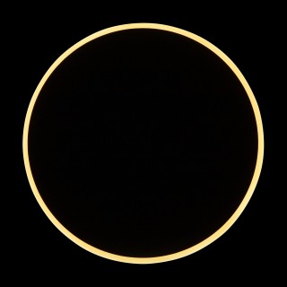 Настенный светильник (бра) Freya FR6002WL-L13B-foto3