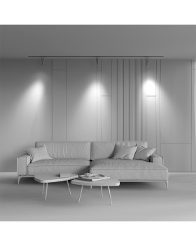 Трековый светильник Technical TR005-4-12W-DS-BW-foto6