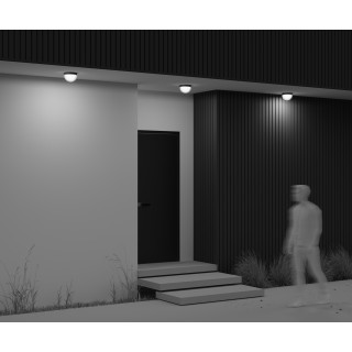 Потолочный светильник Outdoor O438CL-L12GF3K-foto6