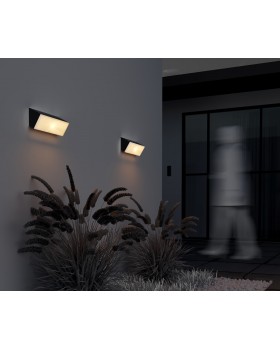 Настенный светильник (бра) Outdoor O436WL-L20GF3K-foto6