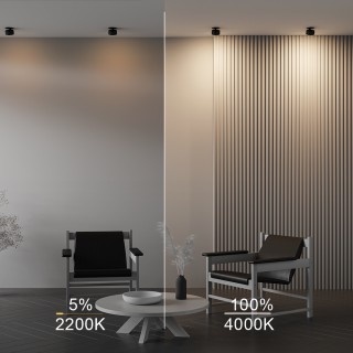 Встраиваемый светильник Technical DL024-12W-DTW-B-foto8