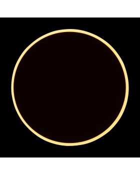 Настенный светильник (бра) Freya FR6002WL-L13W-foto9