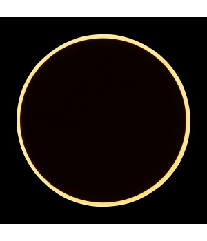 Настенный светильник (бра) Freya FR6002WL-L13W-foto9