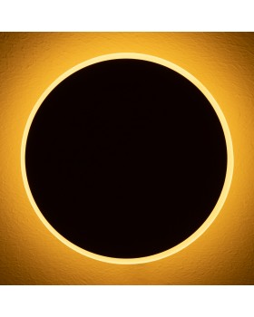 Настенный светильник (бра) Freya FR6002WL-L13W-foto10