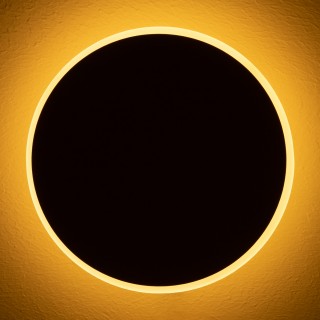 Настенный светильник (бра) Freya FR6002WL-L13W-foto10