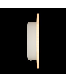 Настенный светильник (бра) Freya FR6002WL-L13W-foto4