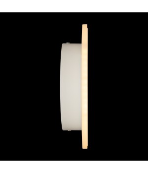 Настенный светильник (бра) Freya FR6002WL-L13W-foto4