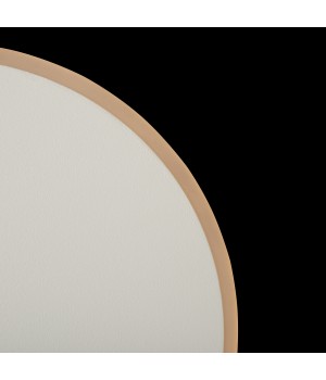 Настенный светильник (бра) Freya FR6002WL-L13W-foto6