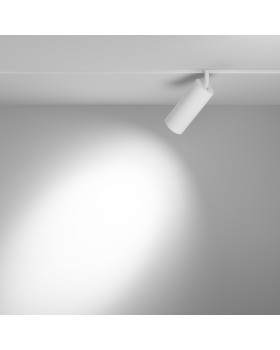 Трековый светильник Technical TR032-4-20WTW-S-DD-W-foto4