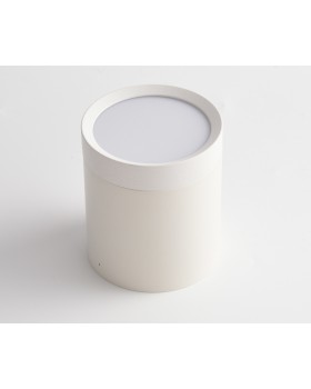 Потолочный светильник Technical C086CM-GX53-MRD-W-foto2