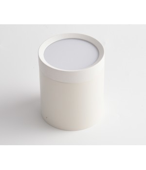 Потолочный светильник Technical C086CM-GX53-MRD-W-foto2