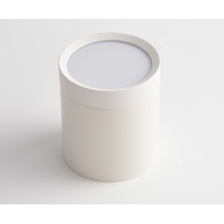 Потолочный светильник Technical C086CM-GX53-MRD-W-foto2