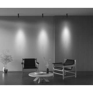 Потолочный светильник Technical C055CL-L12W4K-Z-B-foto8