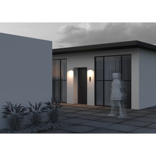 Настенный светильник (бра) Outdoor O303WL-L5W3K-foto2