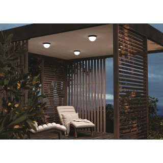 Потолочный светильник Outdoor O438CL-L12GF3K-foto9