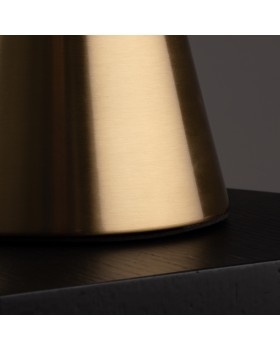 Настольный светильник Freya FR5289TL-01BS-foto4