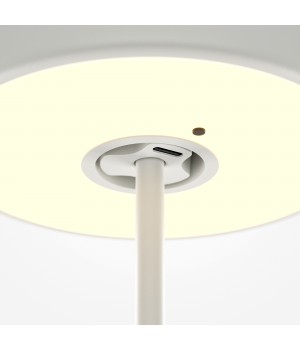 Аккумуляторный светильник Maytoni MOD229TL-L3W3K2-foto4