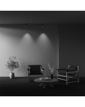 Потолочный светильник Technical C056CL-L12W3K-W-BS-foto5