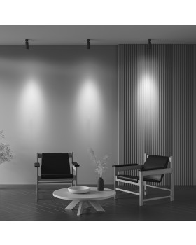 Потолочный светильник Technical C055CL-L12W3K-Z-B-foto6