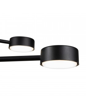 Потолочный светильник Freya FR5363CL-06B-foto4