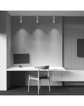 Потолочный светильник Technical C044CL-01-30GU10-W-foto3