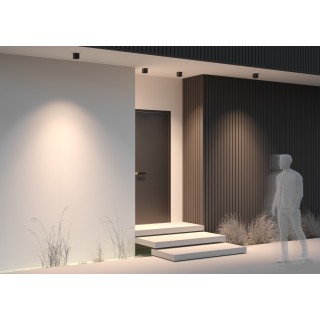 Потолочный светильник Outdoor O309CL-L8GF3K-foto2