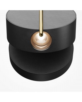 Настенный светильник (бра) Maytoni MOD180WL-L4B3K-foto3