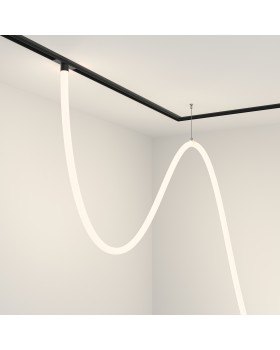 Трековый подвесной светильник Technical TR101-2-100W4K-B-foto2