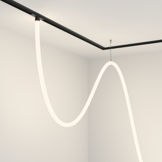 Трековый подвесной светильник Technical TR101-2-100W4K-B-foto2