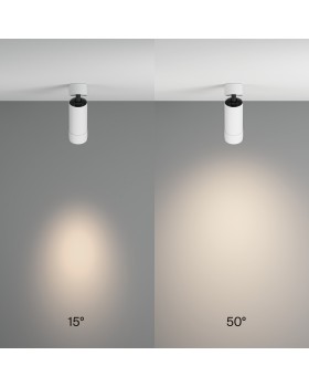 Потолочный светильник Technical C055CL-L12W4K-Z-W-foto2